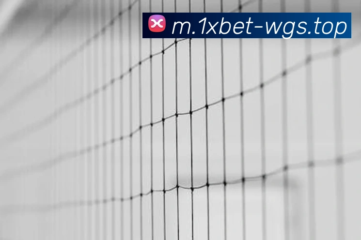 1xbet官网服务体系